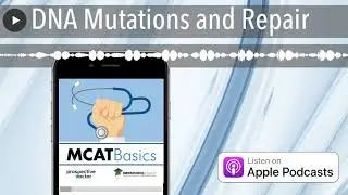 DNA Mutations and Repair