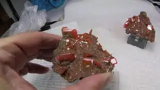 Red Cloud Wulfenites