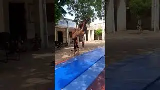 1years bad 😊 #hitesh #flip#masti #trending