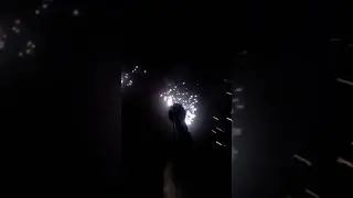 Zoraki 4918 Titan & 4 fach Multi-Shooter + Ratterpatronen (Silberkomet)