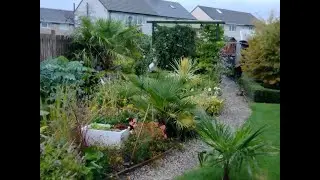 February exotic garden tour       |    The garden is starting to wake up!!