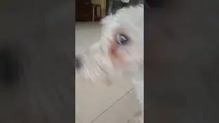 untitled jake.jpg