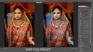 Nature Color Grading Preset | Wedding | Camera Raw | Free Download & install | 2021