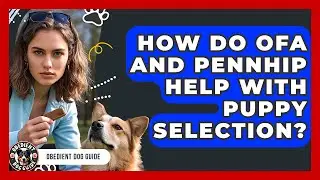 How Do OFA And PennHIP Help With Puppy Selection? - Obedient Dog Guide