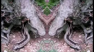 Der zauberhafte L&ouml;wenpfad Nr1 bei Bad &Uuml;berkingen
