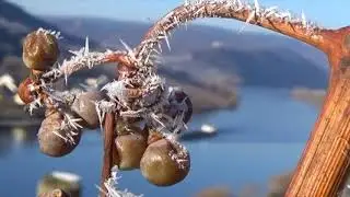 Sch&ouml;ne Aussichten