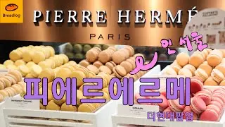 제과계의 피카소, 피에르 에르메가 돌아왔다 | 7+ 제품 테이스팅
