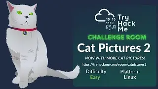 TryHackMe Cat Pictures 2 - Unraveling the Challenge #ctf