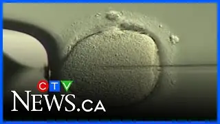 Calls for fertility treatment support in Alberta