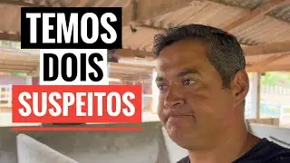 NÃO IMAGINAVA QUE ESSE BICHO PODERIA FAZER ISSO. Temos dois chupa cabra no sitio?