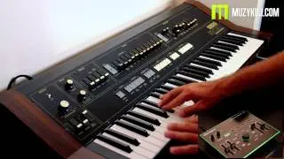 Roland VT-3 Yamaha SK20