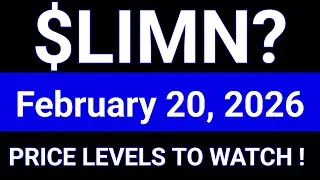 LIMN Stock (Liminatus Pharma, Inc.) LIMN Stock Analysis | February 20, 2026