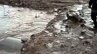 MOV02164