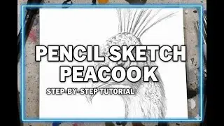 Peacock Pencil Drawing Step by Step | Realistic Mor Pencil Sketch | Easy Drawing Tutorial #reels