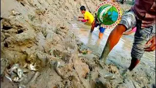 Amazing kids catching fish in Mud Water || Hand Fishing For River fish