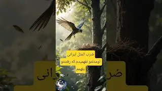 منو ساب کن تا گمم نکردی اینجا هر هفته برات کلی قصه های قشنگ میگیم#قصه_شب #داستان#قصه #داستان_صوتی
