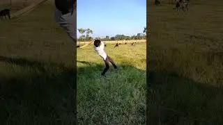 click video 4 #shorts #viral #youtubeshorts