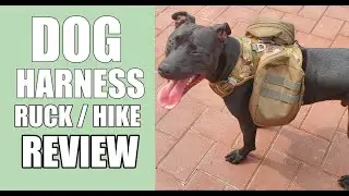 Comfortably Ruck And Hike With Your Dog Using This MOLLE Dog Harness