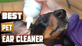 Best Dog Ear Cleaner In 2026 - Top 10 Dog Ear Cleaners Review