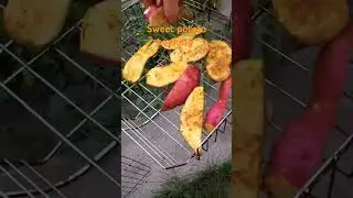 @СелоВихідногоДня #villagelife #villagevlog #cooking #sweet #potato #grill #farming #work #relax