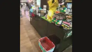 有魚爬蟲專賣店Volg-走馬看花篇