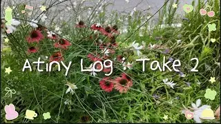 에이티니 로그 Atiny Log : Take 2 _ 떵별이 산덕이 옷 입히기, 아우어 베이커리 인유어판타지 팝업스토어, 포토카드 슬리브 탑로더 구매 