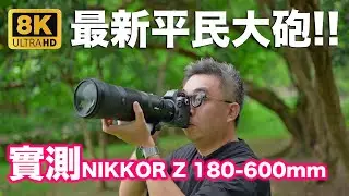Nikon Z 最新平民大砲NIKKOR Z 180-600mm f/5.6-6.3 VR 實測 | 相機 | 鏡頭 | 測試 | 生態