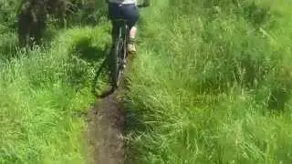 pitmedden forrest