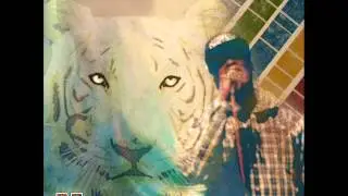 MIND ELEVATED ft. Nato Caliph x RT-Faq prod. by Ciej (Next Time Tigers)