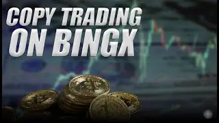 Copy my Crypto Trading Strategy on BingX