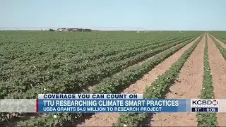Texas Tech researching &lsquo;climate smart&rsquo; agricultural practices