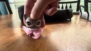 This is my opinion of lps popular and lps popular remake 