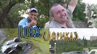 Пляж *АФРИКА*.*Орбита ЛЮКС*.*СОВА*Июня 5 день 22 г. Запорожье.Карась в траве.