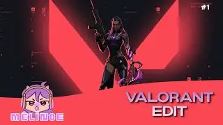 Jbrisko x Traap Everybody Type | Valorant