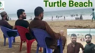 Turtle Beach Beautiful Beach | Pakistan Tv |
