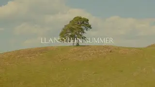 Llanfyllin Summer