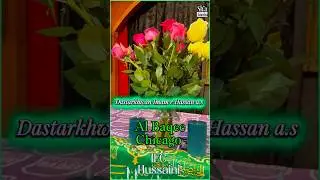 Дастархван Имам э Хасан а.с | Аль Баки Чикаго | 2025 г.