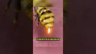 Phần 7 | Bạn Sẽ Bất Ngờ Khi Xem Video N&agrave;y #shorts #viral #trending #suthat #ongbapcay #ong #facts