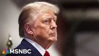 New task force aims to bolster U.S. institutions against Trump threat