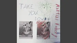 Take You Down
