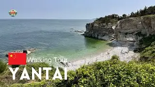 4K Sunny Day Walk on Yangma Island - Beautiful Coastline and Forest Path [2024 China Walk Tour]