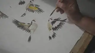 Charm on, Goldfinch