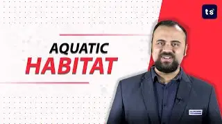 Aquatic habitat | Biology | Aquatic | ocean | lake