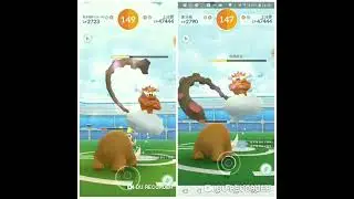Pokemon Go-Incarnate Landorus Raid Duo by mainly Mamoswine(Got Shiny!)(No weather boost)(KO@86s)3/3