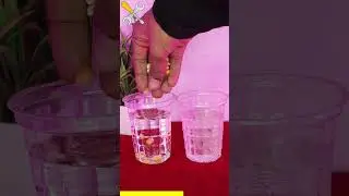 Normal water 🆚 Distilled water Experiment #experiments #scienceexperiment