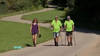Donausteig Wanderung - Hofkirchner Wasserfallrunde
