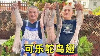 600買15斤鴕鳥翅，阿胖山做可樂鴕鳥翅，皮爛肉嫩，越吃越香