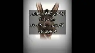 Funny Shayari Urdu Poetry || Lines #Short  #video #viral..🙈