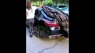 Capa para carro