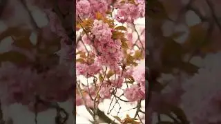FAITH,विश्वास,🫶,#viral #youtubeshorts #love #music #travel#viral